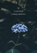 Douces pens&eacute;es entour&eacute;es de fleurs bleues